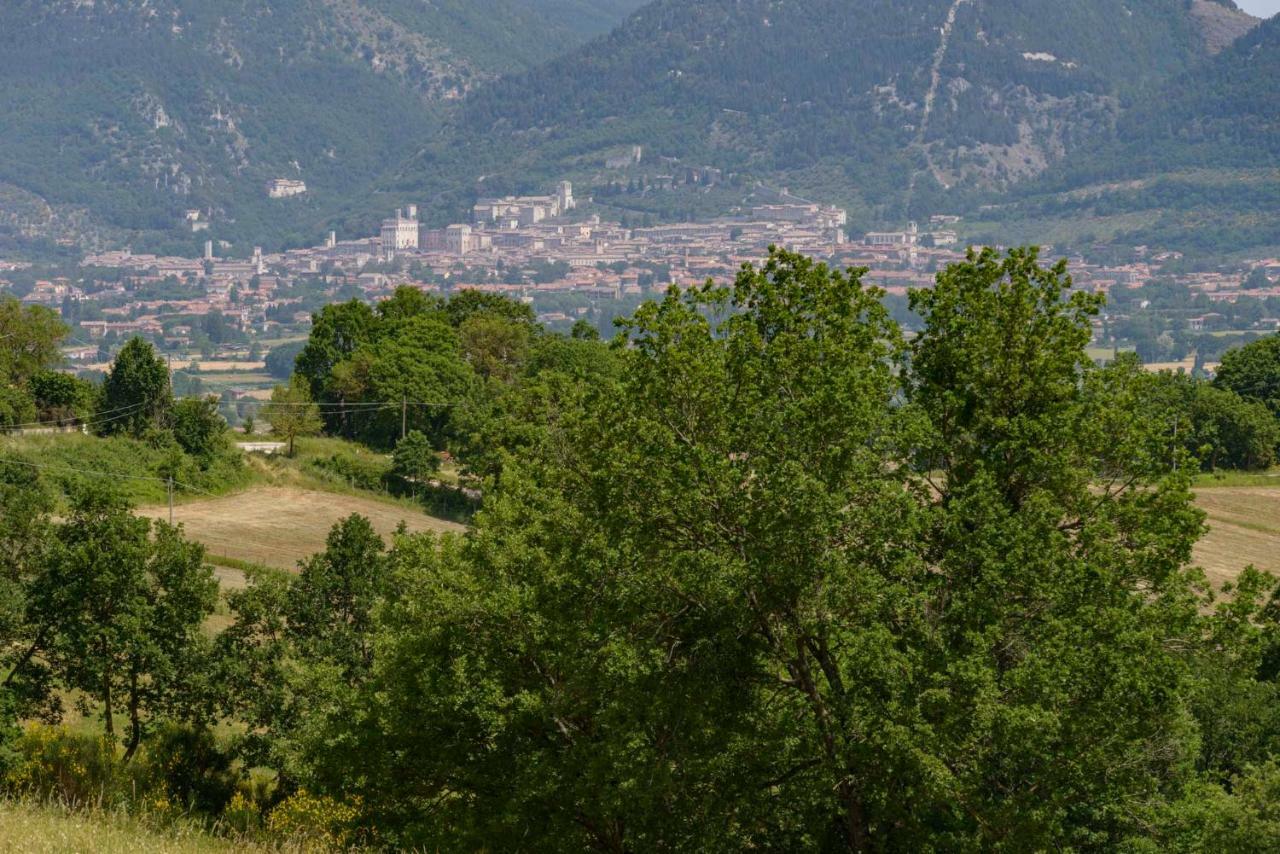 Casa Vacanze San Vittorino Gubbio Zewnętrze zdjęcie